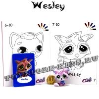 № 7 Wesley (Очаровательные котята)