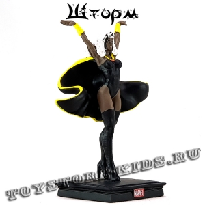 №12 «Шторм»